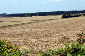Countryside near Park Farm September 2009